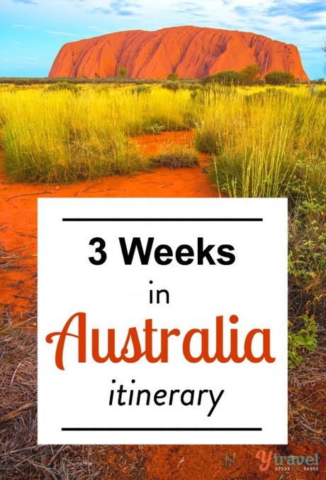 how-to-visit-australia-483x710 ▷ Comente sobre cómo visitar Australia en 3 semanas: un itinerario de Caz