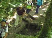 Senderismo trekking agua: trucos consejos.