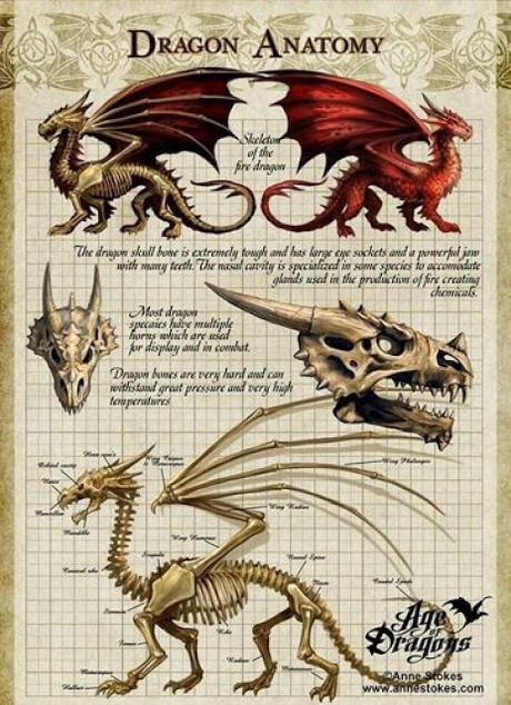 Unas imagenes prácticas de dragones para acabar