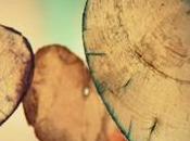 Conjugada Poema Amor