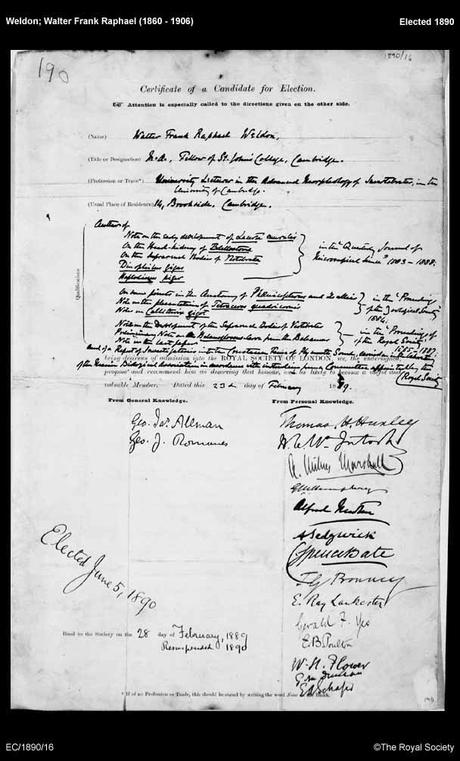 DServe Raphael Weldon, el tercer fundador de Biometrika