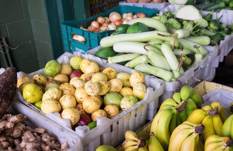 ▷ ¿Cómo es viajar a Antigua y Barbuda? DSCF8047 ▷ ¿Cómo es viajar a Antigua y Barbuda?