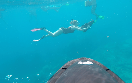 65302496_726079674493496_614132709320556544_n ▷ ¿Cómo es viajar a Antigua y Barbuda?