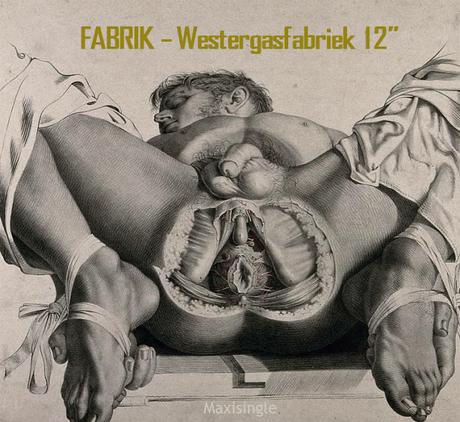 FABRIK - WESTERGASFABRIEK 12