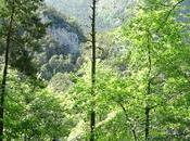 Berga Santuari Queralt Berguedà