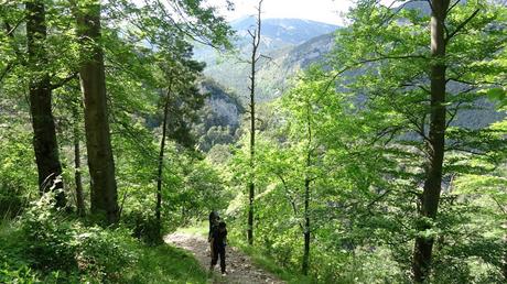 De Berga al Santuari de Queralt | El Berguedà