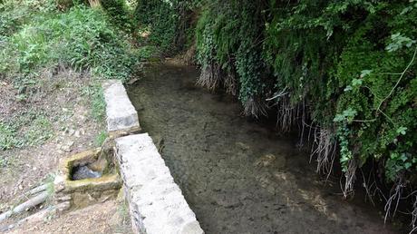 De Berga al Santuari de Queralt | El Berguedà