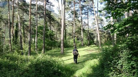 De Berga al Santuari de Queralt | El Berguedà