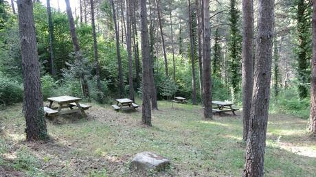 De Berga al Santuari de Queralt | El Berguedà