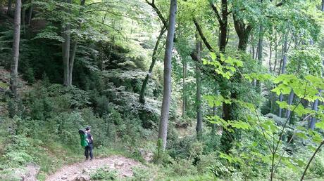 De Berga al Santuari de Queralt | El Berguedà