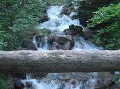 Oxígeno Agua