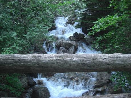 Oxígeno y Agua