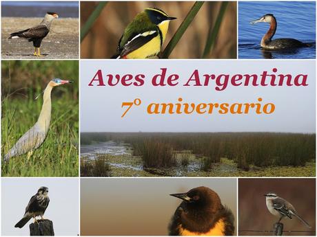Séptimo aniversario de Aves de Argentina