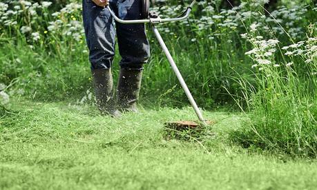 Conociendo las desbrozadoras Conociendo las desbrozadoras
