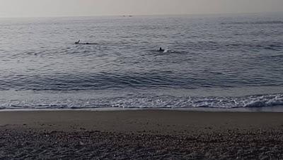 Ironman Fuengirola 2019 Ironman Fuengirola 2019