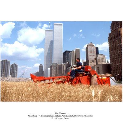 El campo de trigo de Agnes Denes en Manhattan