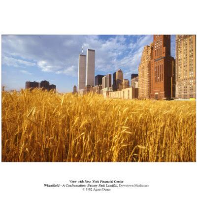 El campo de trigo de Agnes Denes en Manhattan