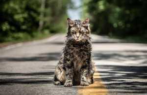 Crítica sin spoilers de Cementerio de animales