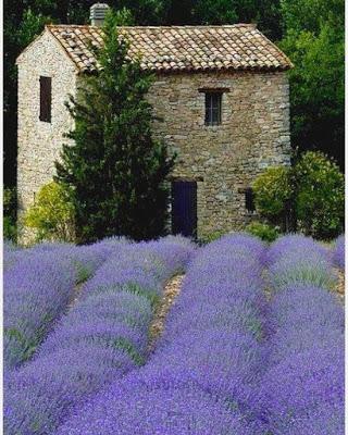 Sánchez e Iglesias. ¿Un acuerdo cercano o lejano?