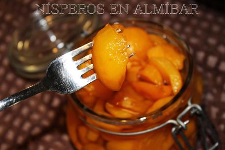 NISPEROS EN ALMIBAR PASO A PASO