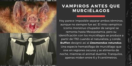 XVI EDICIÓN: DRÁCULA