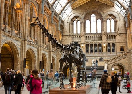 natural_history_museum_london ▷ 12 mejores museos en Londres