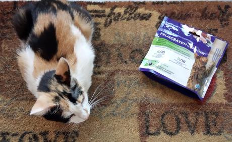 TODO GRATIS RECIBIDOS (Vol.42) TODO GRATIS RECIBIDOS (Vol.42)