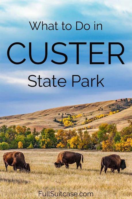 Things-to-do-in-Custer-State-Park-Black-Hills-South-Dakota-USA.jpg.optimal ▷ 13 grandes cosas que hacer en el Parque Estatal Custer (+ Itinerario de un día)