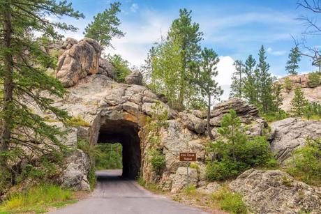 Iron-Creek-Tunnel-The-Needles-HIghway-in-Custer-State-Park.jpg.optimal ▷ 13 grandes cosas que hacer en el Parque Estatal Custer (+ Itinerario de un día)