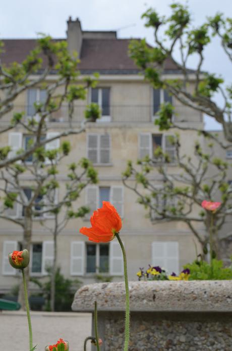 Pasear por los barrios más lindos de París