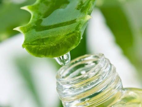 jugo de aloe vera