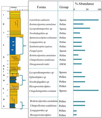 Caracterización de los sedimentos del Cretácico superior en el eje Ikpankwu-Ihube, Okigwe, sureste de Nigeria