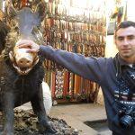 El Mercado del Porcellino