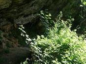 Avià Saltant Grau Berguedà