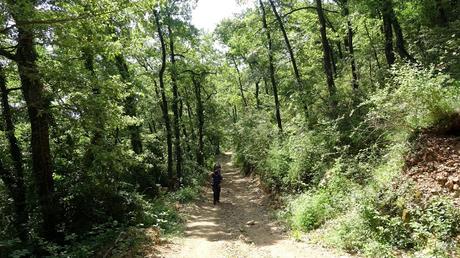 De Avià al Saltant del Grau | El Berguedà