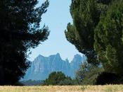 Cataluña para foodies: parte