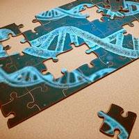 Una terapia con antirretrovirales y CRISPR elimina el VIH en ratones