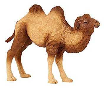 Entre “ camellos “ y “ elefantes “ : papelinas y recetas médicas