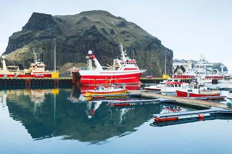 ▷ Islas Westman – Su guía a la isla Heimaey en Islandia Vestmannaeyjar-island-harbor-Westman-Islands-Iceland.jpg.optimal ▷ Islas Westman - Su guía a la isla Heimaey en Islandia
