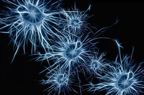La acumulación de proteínas anormales en el cerebro sería un posible marcador de esquizofrenia
