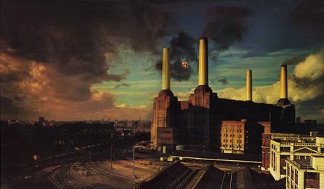 pink floyd animals