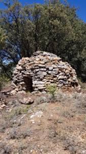 ¿Negredo? ¿Negredo?