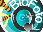 Concurso Fotográfico BioFoto 2019