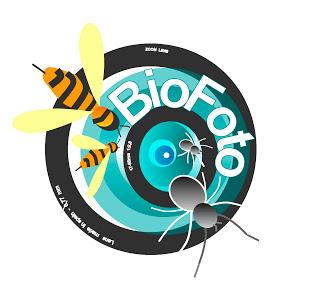 Concurso Fotográfico BioFoto 2019