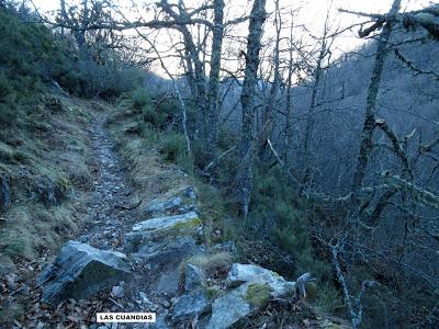 La Foceicha-Las Navariegas-La Piedra-El Cuernu l´Aguil-Cuevas