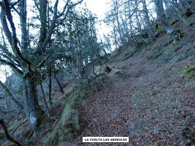 La Foceicha-Las Navariegas-La Piedra-El Cuernu l´Aguil-Cuevas