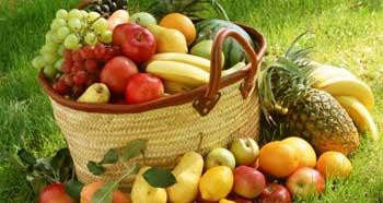 Comida Para Adelgazar