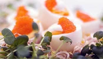 Comida para Semana Santa