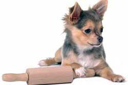 Comida Para Perros Casera Comida Para Perros Casera