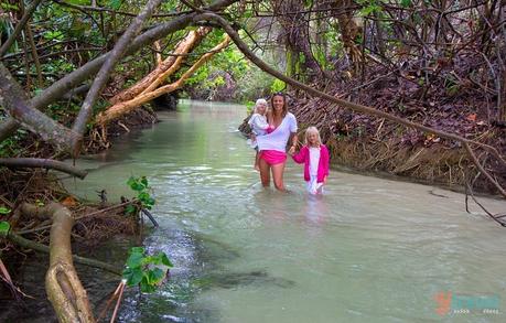 ▷ Comente sobre los 14 mejores viajes por carretera en Australia en alquiler de coches: todo lo que necesita saber (vehículos, seguros, errores) Fraser-Island-Queensland-Australia-231 ▷ Comente sobre los 14 mejores viajes por carretera en Australia en alquiler de coches: todo lo que necesita saber (vehículos, seguros, errores)